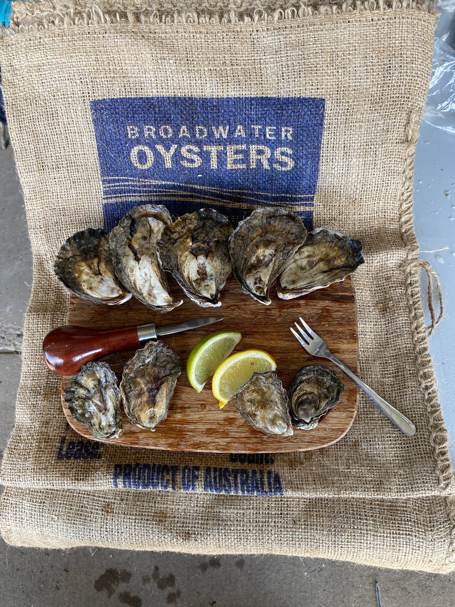 SYDNEY ROCK OYSTERS PREMIUM UNOPENED Broadwater Oysters